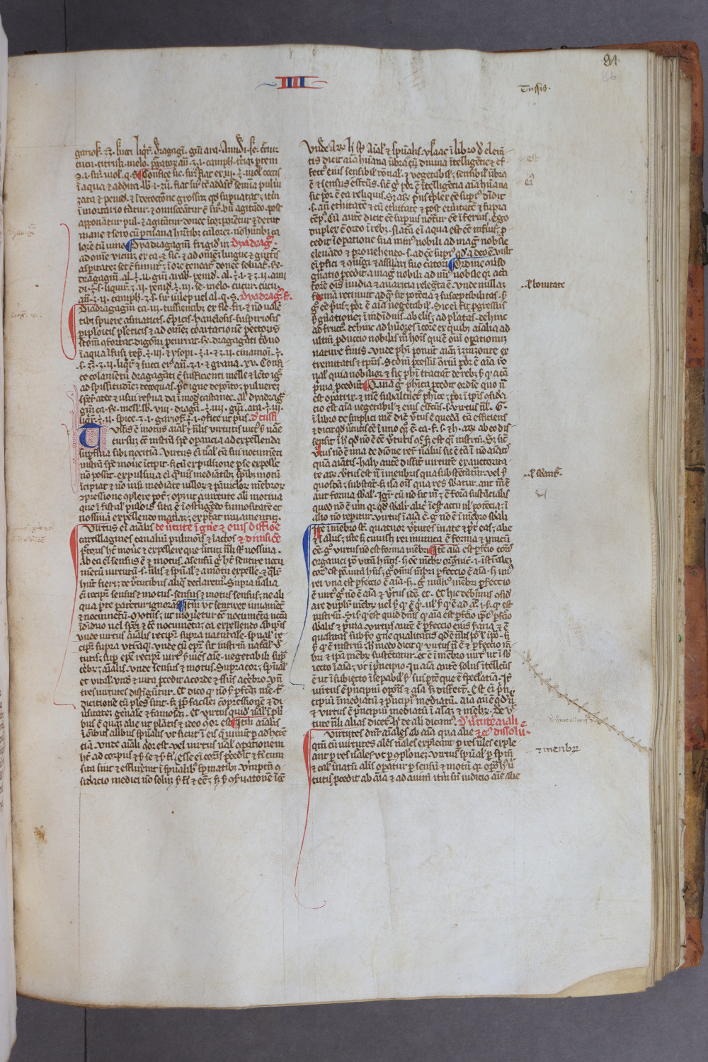 Folio 86 recto